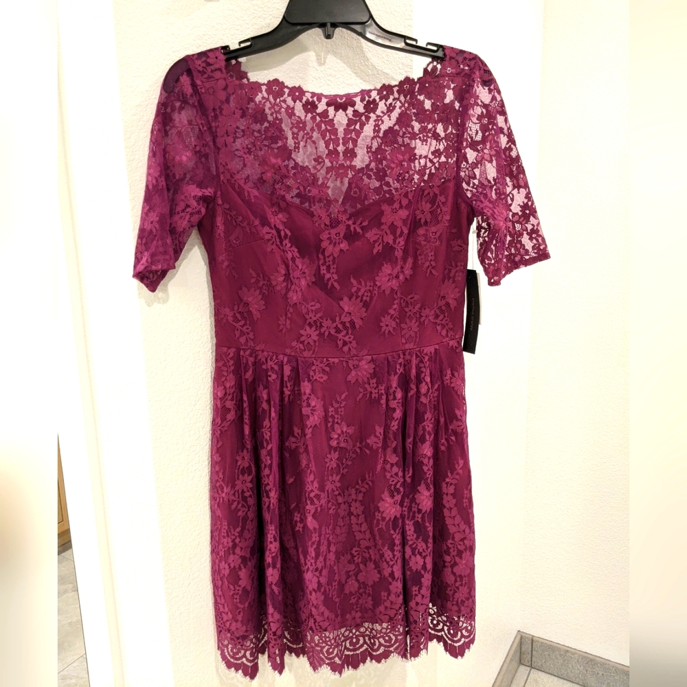 Cynthia Steffe Plum Dress